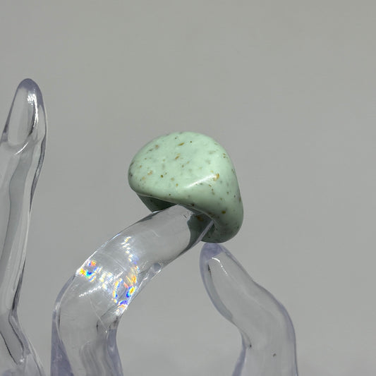 Signet 03
