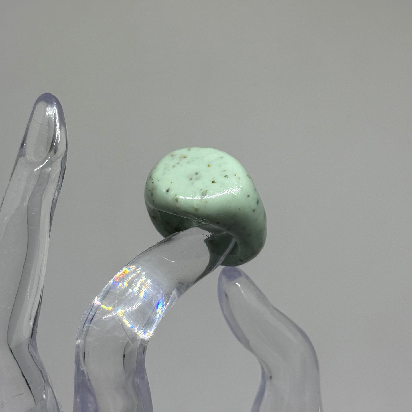 Signet 04