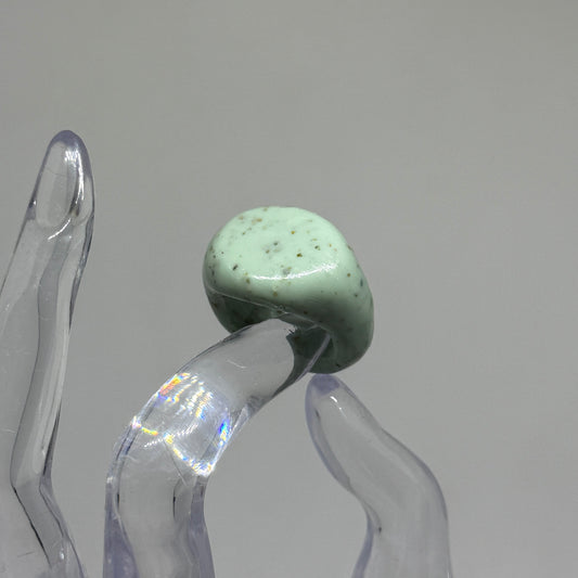 Signet 04