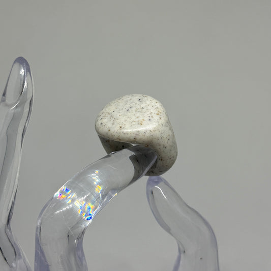 Signet 02