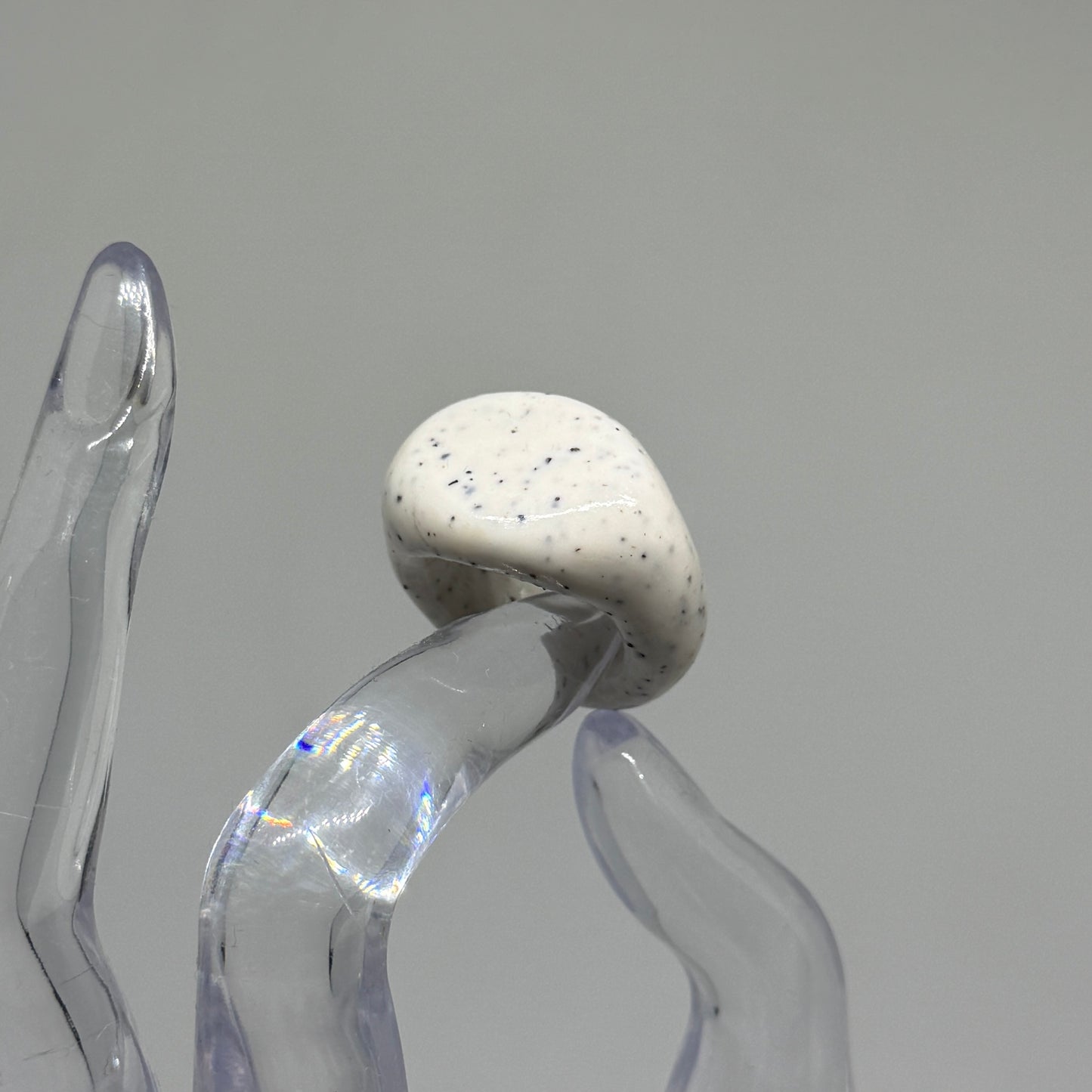 Signet 03