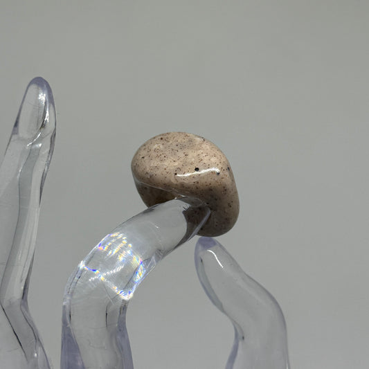 Signet 010