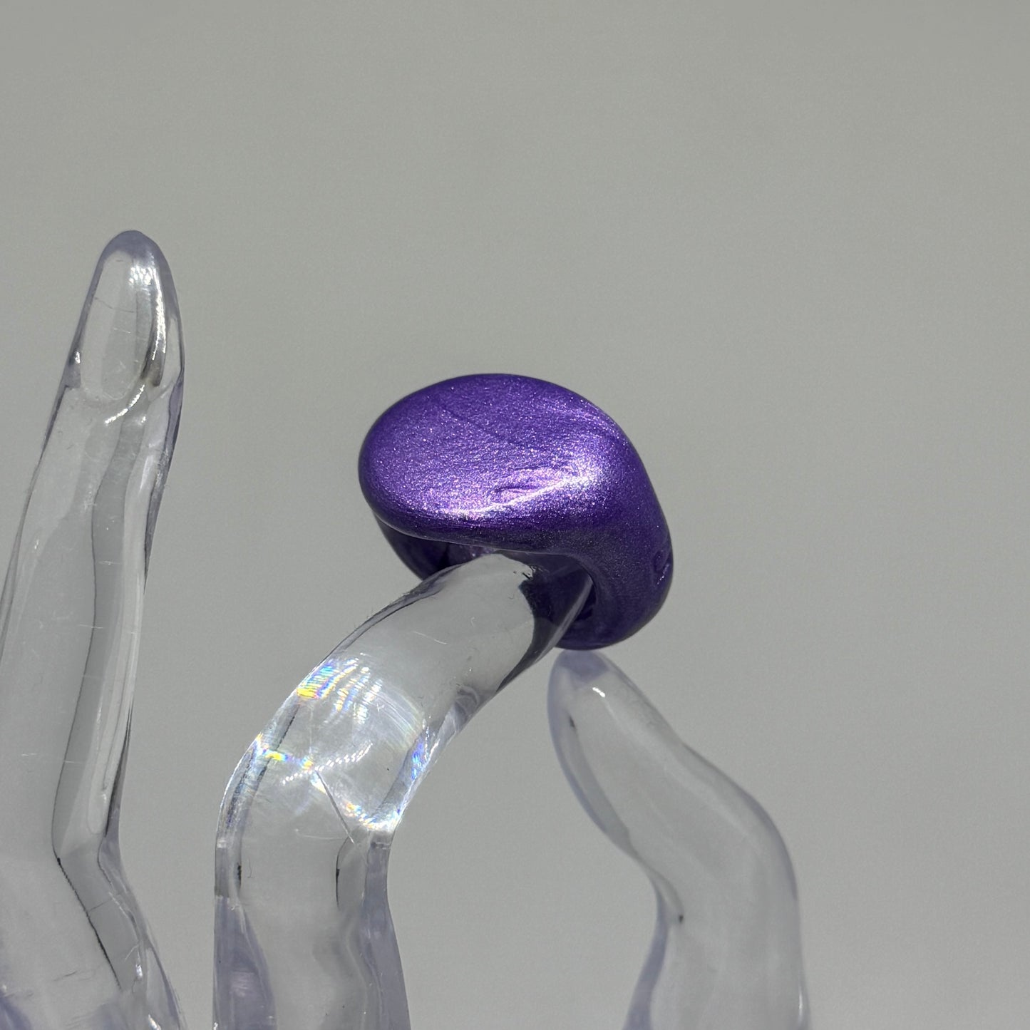 Signet 05