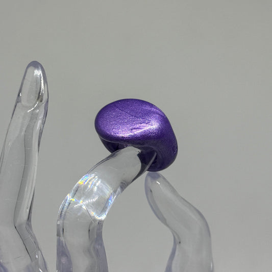Signet 05