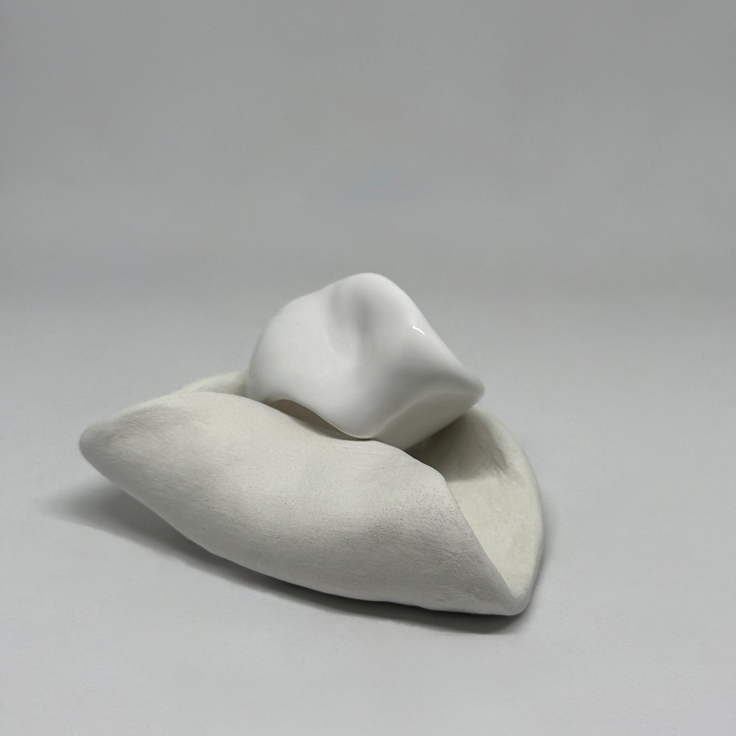 Shell