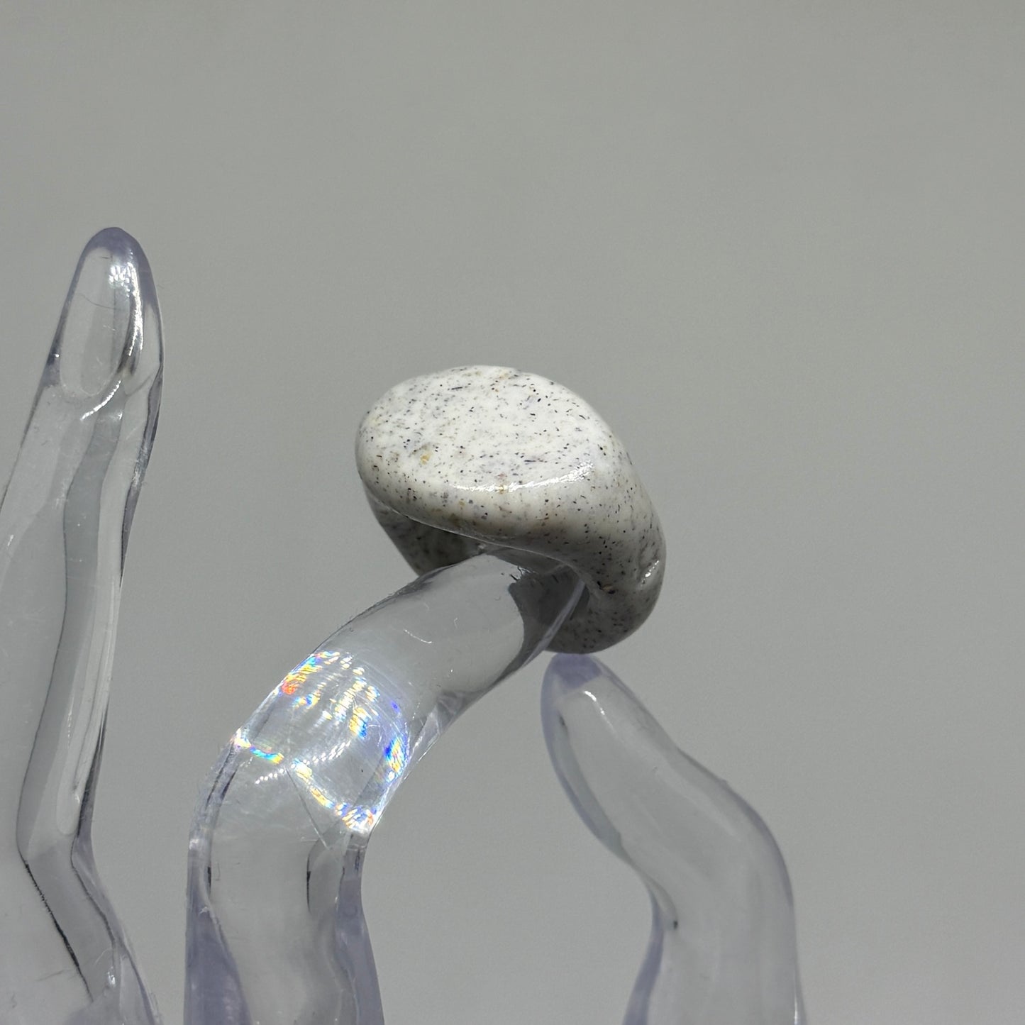 Signet 02